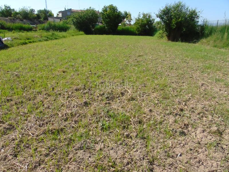 Foto a6da2950-cf7f-45cc-9439-a547eebdf1e9. Fondo rustico in Lorquí Foto a6da2950-cf7f-45cc-9439-a547eebdf1e9. Fondo rustico in Lorquí