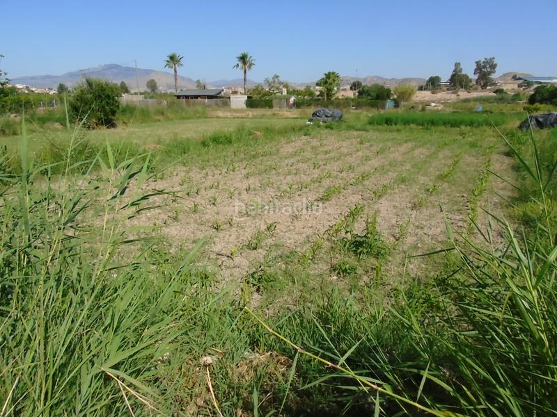 Foto b03f7bd7-f13c-43cb-b28a-9ee73da67f62. Fondo rustico in Lorquí Foto b03f7bd7-f13c-43cb-b28a-9ee73da67f62. Fondo rustico in Lorquí