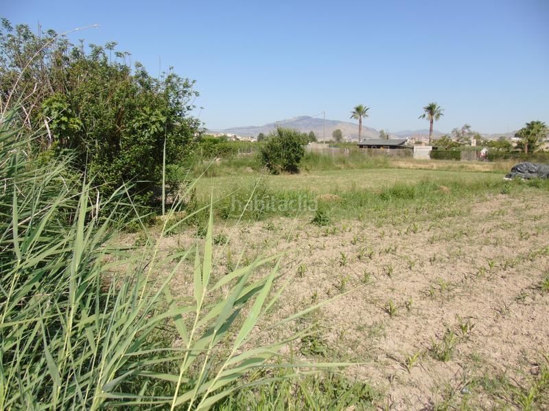 Foto e08c4c06-de74-4050-ba86-6a38aa1d2d98. Fondo rustico in Lorquí Foto e08c4c06-de74-4050-ba86-6a38aa1d2d98. Fondo rustico in Lorquí