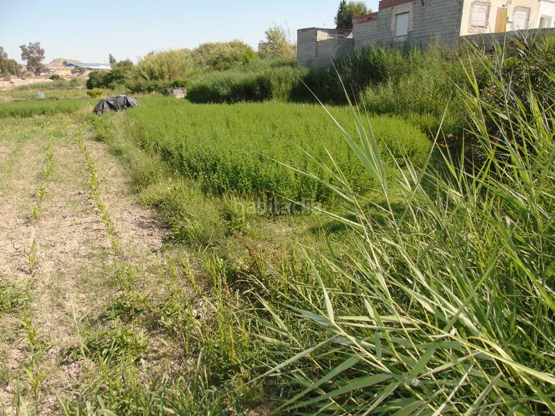 Foto fbbb0890-c023-4a13-819e-48bba7fbad67. Fondo rustico in Lorquí Foto fbbb0890-c023-4a13-819e-48bba7fbad67. Fondo rustico in Lorquí