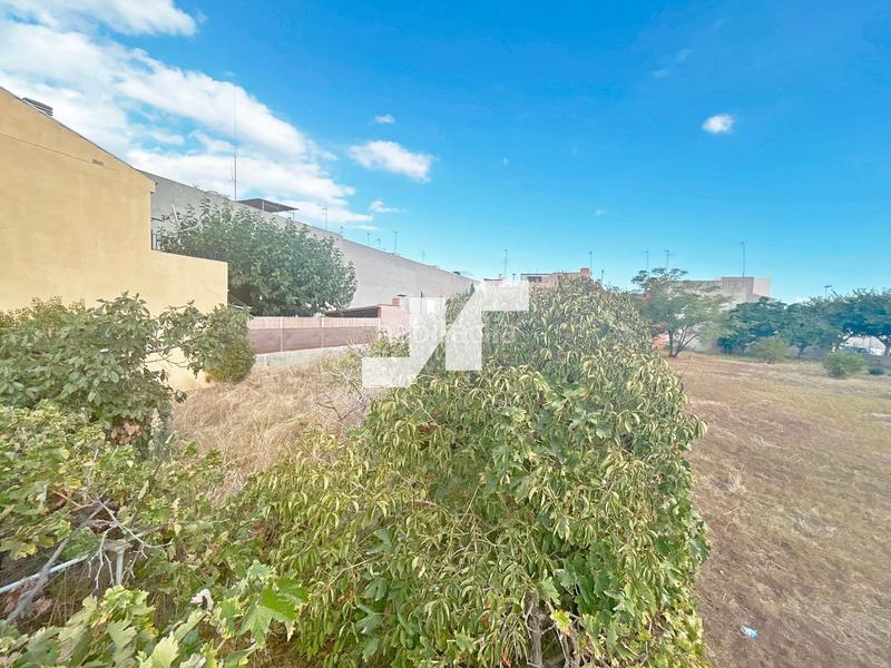Foto 56c696fa-6c96-4064-9576-7dfbcb98a498. Fondo rustico in Alqueries (Les) / Alquerías del Niño Perdido Foto 56c696fa-6c96-4064-9576-7dfbcb98a498. Fondo rustico in Alqueries (Les) / Alquerías del Niño Perdido