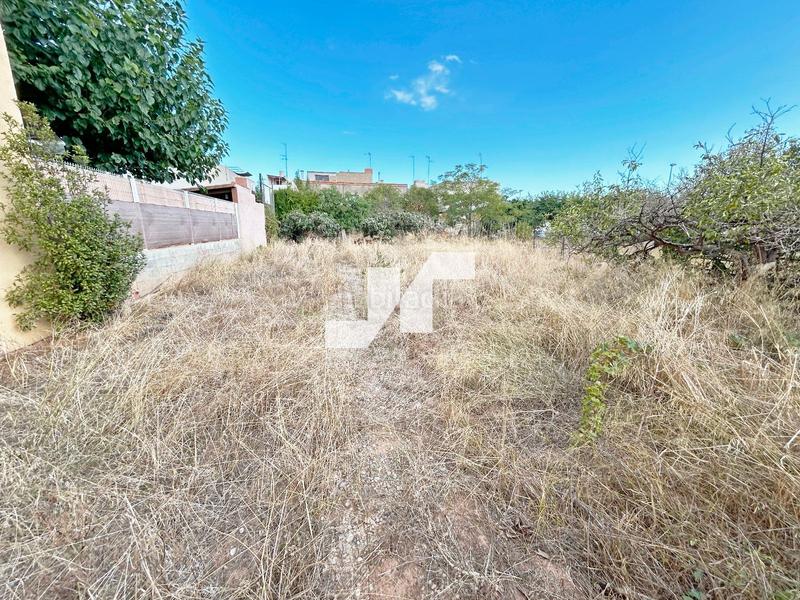 Foto cc7aceb0-2d42-45e4-b9a4-a3c3a6b04621. Fondo rustico in Alqueries (Les) / Alquerías del Niño Perdido Foto cc7aceb0-2d42-45e4-b9a4-a3c3a6b04621. Fondo rustico in Alqueries (Les) / Alquerías del Niño Perdido