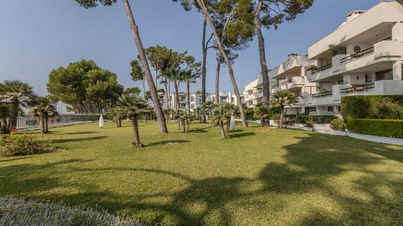 Foto 69c483c4-4379-48b8-b635-cd44958d31e4. Rent ground floor with heating parking in port d´Alcúdia-platja dálcúdia Alcúdia Foto 69c483c4-4379-48b8-b635-cd44958d31e4. Rent ground floor with heating parking in port d´Alcúdia-platja dálcúdia Alcúdia