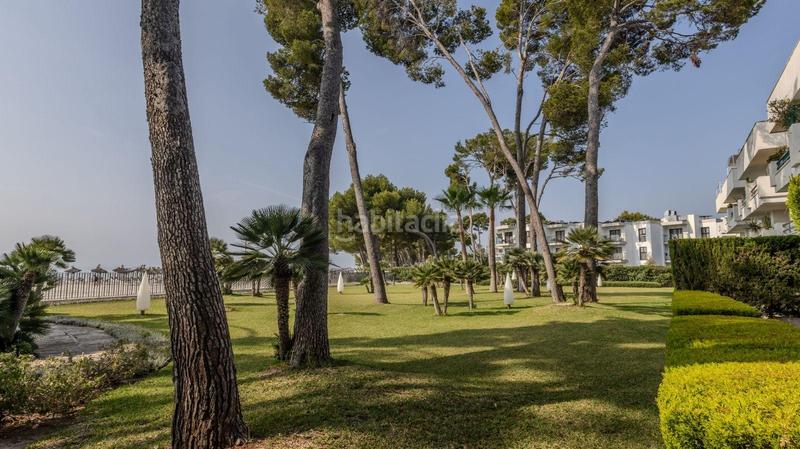 Foto 6ac49665-533c-4f30-8888-284e46ca7d44. Rent ground floor with heating parking in port d´Alcúdia-platja dálcúdia Alcúdia Foto 6ac49665-533c-4f30-8888-284e46ca7d44. Rent ground floor with heating parking in port d´Alcúdia-platja dálcúdia Alcúdia