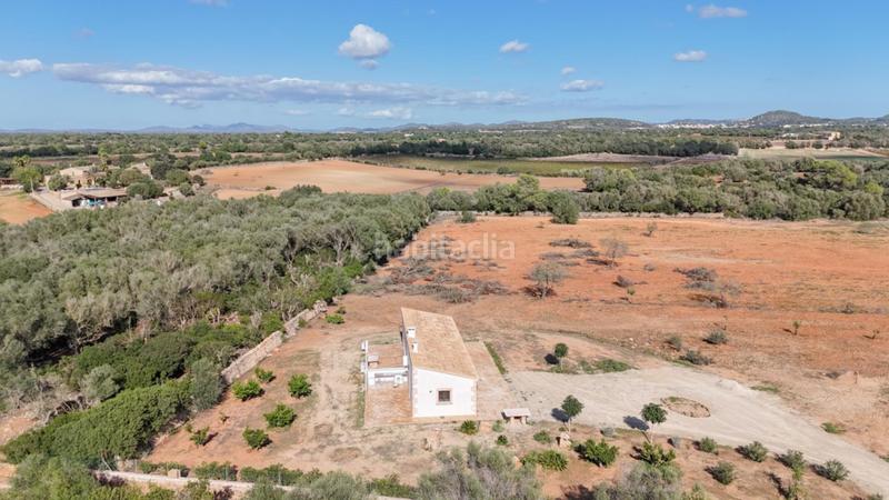 Foto 20db7cb2-8cc3-4216-abd6-4cefd55e6a61. Location maison avec parking dans Felanitx poble Felanitx Foto 20db7cb2-8cc3-4216-abd6-4cefd55e6a61. Location maison avec parking dans Felanitx poble Felanitx