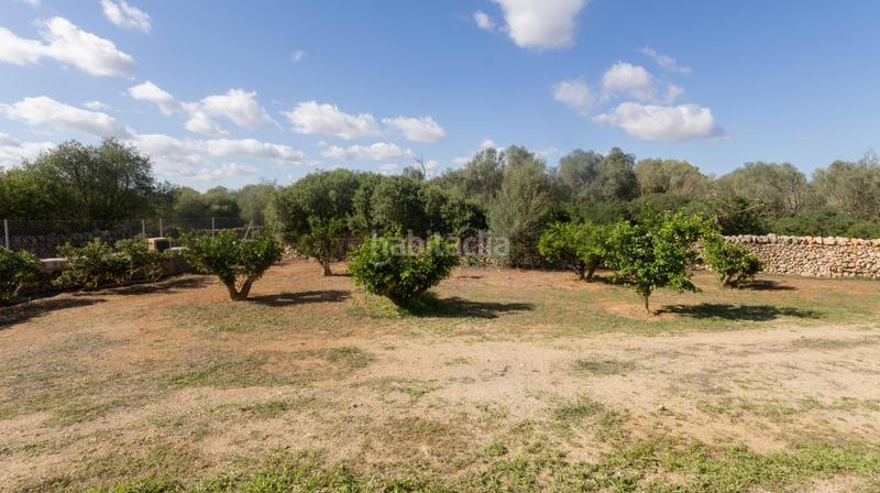 Foto 2502d0bc-16e0-4330-a7f5-d503232dcd15. Location maison avec parking dans Felanitx poble Felanitx Foto 2502d0bc-16e0-4330-a7f5-d503232dcd15. Location maison avec parking dans Felanitx poble Felanitx