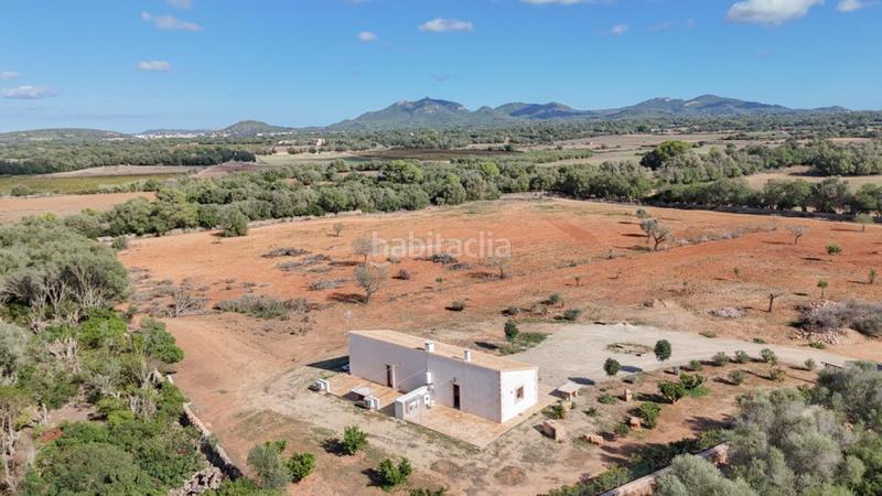 Foto 72061a3e-6548-4e90-98a5-7f72d361003a. Location maison avec parking dans Felanitx poble Felanitx Foto 72061a3e-6548-4e90-98a5-7f72d361003a. Location maison avec parking dans Felanitx poble Felanitx
