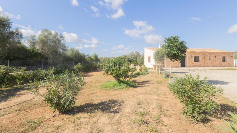 Foto f14774be-36aa-4d2b-b8e2-2ba7e8208e07. Location maison avec parking dans Felanitx poble Felanitx Foto f14774be-36aa-4d2b-b8e2-2ba7e8208e07. Location maison avec parking dans Felanitx poble Felanitx