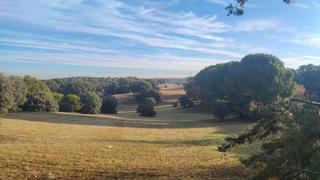 Terrain résidentiel  Calle de la cuerda del sol 6. Alfa key west inmobiliaria vende parcelas urbana de 2672 m2, con Terrain résidentiel  Calle de la cuerda del sol 6. Alfa key west inmobiliaria vende parcelas urbana de 2672 m2, con