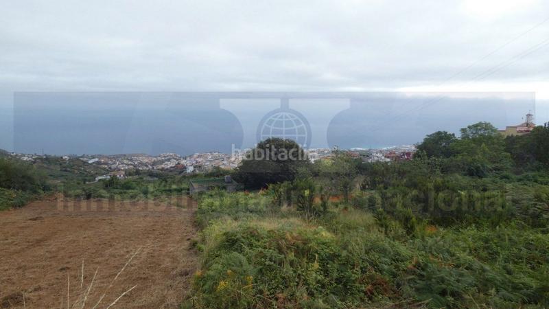 Foto 3bf0128f-1896-4709-8fce-12a338447463. Fondo rustico in Palo Blanco Realejos (Los) Foto 3bf0128f-1896-4709-8fce-12a338447463. Fondo rustico in Palo Blanco Realejos (Los)