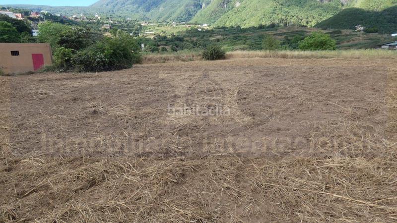 Foto f5c9836f-4874-4d7d-8189-ed0a8652f140. Propriété dans Palo Blanco Realejos (Los) Foto f5c9836f-4874-4d7d-8189-ed0a8652f140. Propriété dans Palo Blanco Realejos (Los)