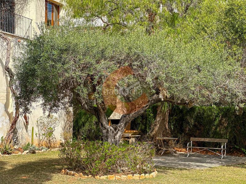 Foto 64b0a354-98a0-4827-a09d-952ae316e4a1. Casa amb calefacció aparcament piscina a Coma-ruga platja Coma-ruga Foto 64b0a354-98a0-4827-a09d-952ae316e4a1. Casa amb calefacció aparcament piscina a Coma-ruga platja Coma-ruga