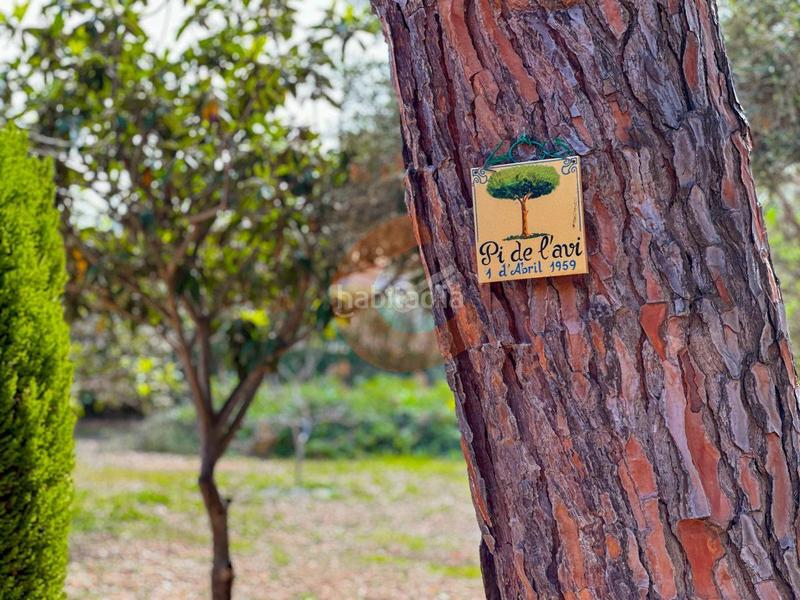 Foto a89132d3-310d-4435-a77d-9c11d1476e12. Casa amb calefacció aparcament piscina a Coma-ruga platja Coma-ruga Foto a89132d3-310d-4435-a77d-9c11d1476e12. Casa amb calefacció aparcament piscina a Coma-ruga platja Coma-ruga