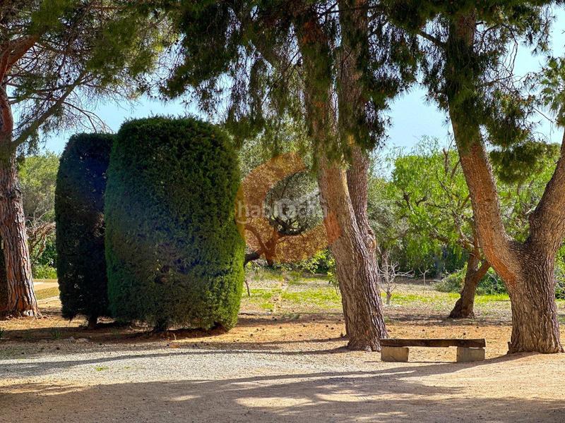 Foto c3c2b53a-279f-455b-8d7e-66e4546c3b13. Casa amb calefacció aparcament piscina a Coma-ruga platja Coma-ruga Foto c3c2b53a-279f-455b-8d7e-66e4546c3b13. Casa amb calefacció aparcament piscina a Coma-ruga platja Coma-ruga