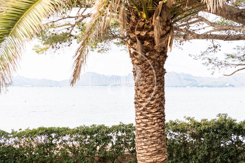 Foto 814b2fe4-0c4f-4ed0-8761-9d905399b1b9. Lloguer casa adossada amb calefacció aparcament a Alcúdia Foto 814b2fe4-0c4f-4ed0-8761-9d905399b1b9. Lloguer casa adossada amb calefacció aparcament a Alcúdia