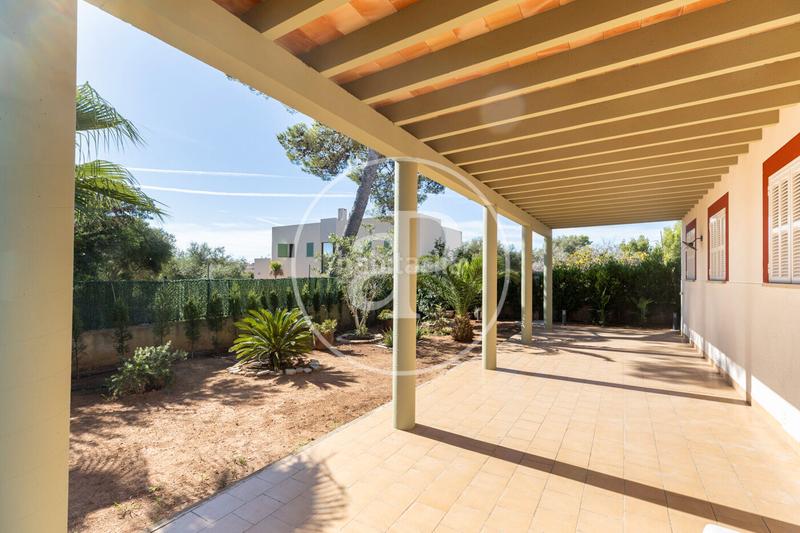 Foto 17fbb195-b46e-4498-bc6b-068f122fbf8d. Alquiler casa  en alquiler en alcudia en Bacarés-Manresa-Bonaire Alcúdia Foto 17fbb195-b46e-4498-bc6b-068f122fbf8d. Alquiler casa  en alquiler en alcudia en Bacarés-Manresa-Bonaire Alcúdia