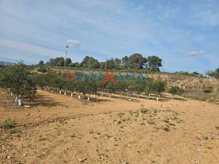 Nau industrial a Xerta. Granjas de crie y engorde, negocios de agricultura y casas. Nau industrial a Xerta. Granjas de crie y engorde, negocios de agricultura y casas.