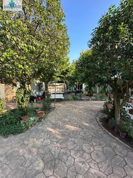 Foto d43917af-daba-46ff-a505-cd164ed4f694. Chalet avec chauffage parking piscine dans Pedanías - Extrarradio Albacete Foto d43917af-daba-46ff-a505-cd164ed4f694. Chalet avec chauffage parking piscine dans Pedanías - Extrarradio Albacete