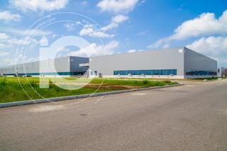 Bâtiment à usage industriel Real. Fabrica de jamones y embutidos en producción Bâtiment à usage industriel Real. Fabrica de jamones y embutidos en producción