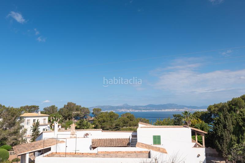 Foto c5c116f2-9348-4758-93cb-5e20918f171e. Xalet amb xemeneia calefacció aparcament piscina a Llucmajor Foto c5c116f2-9348-4758-93cb-5e20918f171e. Xalet amb xemeneia calefacció aparcament piscina a Llucmajor