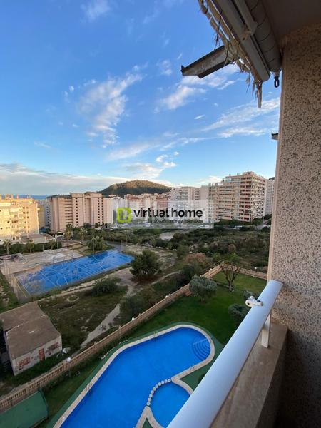 Foto 88b008ee-6e12-4a81-855d-2ef93a182a09. Piccolo appartamento con parcheggio piscina in Cala Palmera-Atrium Vila Joiosa (la) Foto 88b008ee-6e12-4a81-855d-2ef93a182a09. Piccolo appartamento con parcheggio piscina in Cala Palmera-Atrium Vila Joiosa (la)