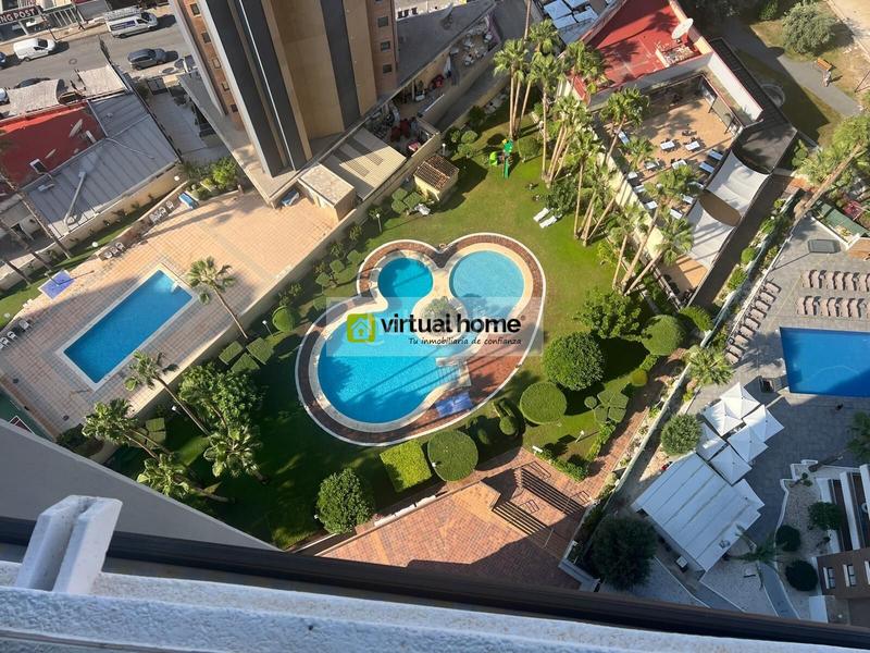 Foto 41f9d93c-81d5-40cc-9040-2771bac76882. Apartament amb aparcament a Playa Levante Benidorm Foto 41f9d93c-81d5-40cc-9040-2771bac76882. Apartament amb aparcament a Playa Levante Benidorm