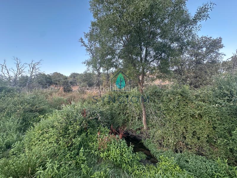 Foto ba3d3f16-35a4-4d90-b860-b693819fea19. Finca rústica a n/a a Fresnedillas de la Oliva Foto ba3d3f16-35a4-4d90-b860-b693819fea19. Finca rústica a n/a a Fresnedillas de la Oliva