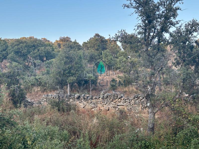 Foto c03e4fb2-1a7a-45ee-aea8-8741207abd67. Finca rústica a n/a a Fresnedillas de la Oliva Foto c03e4fb2-1a7a-45ee-aea8-8741207abd67. Finca rústica a n/a a Fresnedillas de la Oliva