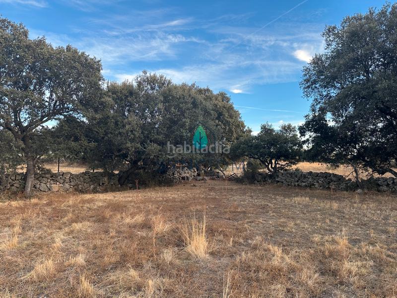 Foto f05cf0ca-3bea-47aa-8fc0-1c701ffd8731. Finca rústica a n/a a Fresnedillas de la Oliva Foto f05cf0ca-3bea-47aa-8fc0-1c701ffd8731. Finca rústica a n/a a Fresnedillas de la Oliva