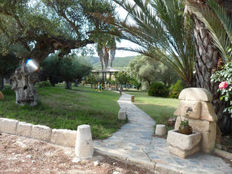 Foto c7bd16d3-bc90-4e29-8562-2c4738c66aa6. Bauernhof mit kamin heizung parking in Sant Rafael Ontinyent Foto c7bd16d3-bc90-4e29-8562-2c4738c66aa6. Bauernhof mit kamin heizung parking in Sant Rafael Ontinyent