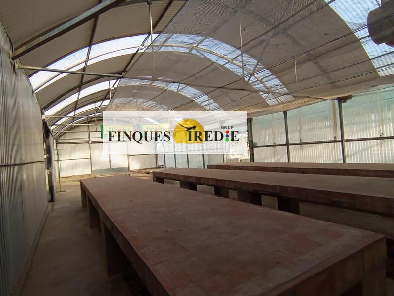 Foto e3caa852-11ab-4c62-9281-f8871dd77403. Solar industrial parcela industrial muy bien ubicada!!! en Amposta Foto e3caa852-11ab-4c62-9281-f8871dd77403. Solar industrial parcela industrial muy bien ubicada!!! en Amposta