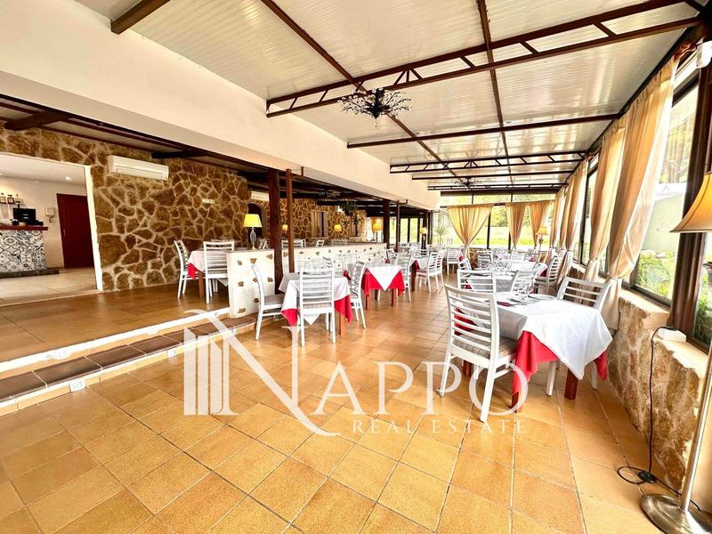 Foto 99b2e95d-5294-4745-b3ce-04a134197c2f. Rent business premise in Sóller Foto 99b2e95d-5294-4745-b3ce-04a134197c2f. Rent business premise in Sóller