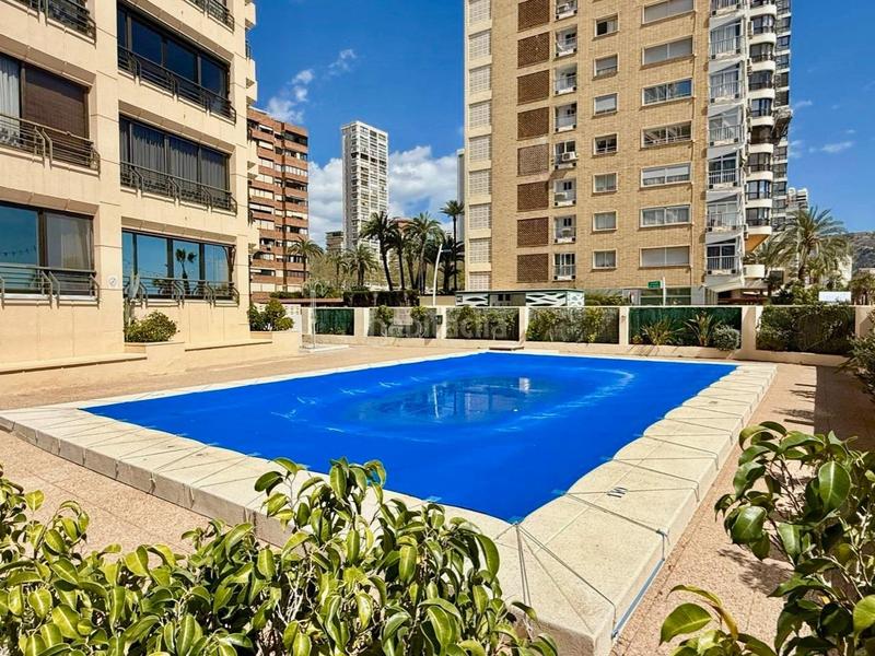Foto bc3bc4c9-d527-4bee-86ab-e2d079899ea5. Piccolo appartamento con parcheggio piscina in Playa Levante Benidorm Foto bc3bc4c9-d527-4bee-86ab-e2d079899ea5. Piccolo appartamento con parcheggio piscina in Playa Levante Benidorm
