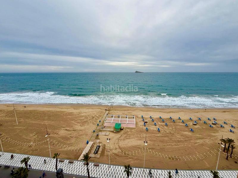 Foto d9102753-785c-4da4-bea3-0767314a8c4d. Piccolo appartamento con parcheggio piscina in Playa Levante Benidorm Foto d9102753-785c-4da4-bea3-0767314a8c4d. Piccolo appartamento con parcheggio piscina in Playa Levante Benidorm