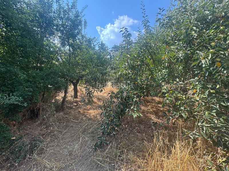 Foto 7f12e291-0def-497f-9315-4c12637bc65a. Masía se vende casa de planta baja, con terreno en san miguel de las dueñas en Congosto Foto 7f12e291-0def-497f-9315-4c12637bc65a. Masía se vende casa de planta baja, con terreno en san miguel de las dueñas en Congosto