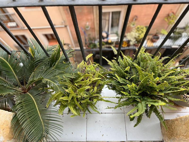 Foto d6540f4a-2c31-45af-9afd-50ca0463eb66. Apartament a calle de cuirateries 5 a Part Alta Tarragona Foto d6540f4a-2c31-45af-9afd-50ca0463eb66. Apartament a calle de cuirateries 5 a Part Alta Tarragona