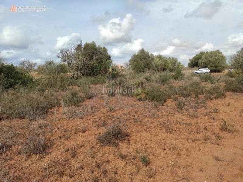Foto 13804505-9f44-4d5f-9671-b7dc25f5422a. Terreny residencial a carretera rafal llinas a Ses Salines poble Ses Salines Foto 13804505-9f44-4d5f-9671-b7dc25f5422a. Terreny residencial a carretera rafal llinas a Ses Salines poble Ses Salines