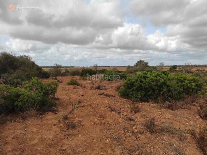 Foto 4125f514-5e11-45e9-9290-487d8c9e51ac. Terreny residencial a carretera rafal llinas a Ses Salines poble Ses Salines Foto 4125f514-5e11-45e9-9290-487d8c9e51ac. Terreny residencial a carretera rafal llinas a Ses Salines poble Ses Salines