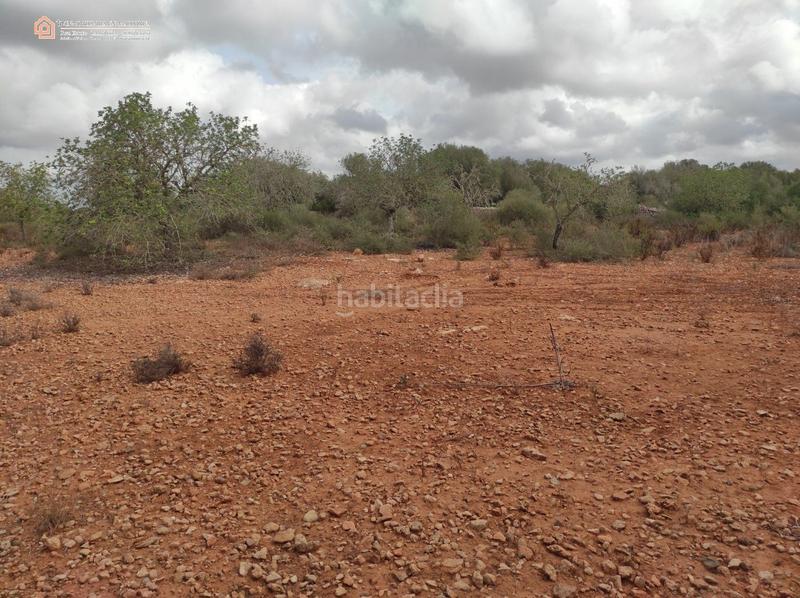 Foto 78e0ddc8-9a98-4430-ae36-9315351447b0. Terreny residencial a carretera rafal llinas a Ses Salines poble Ses Salines Foto 78e0ddc8-9a98-4430-ae36-9315351447b0. Terreny residencial a carretera rafal llinas a Ses Salines poble Ses Salines