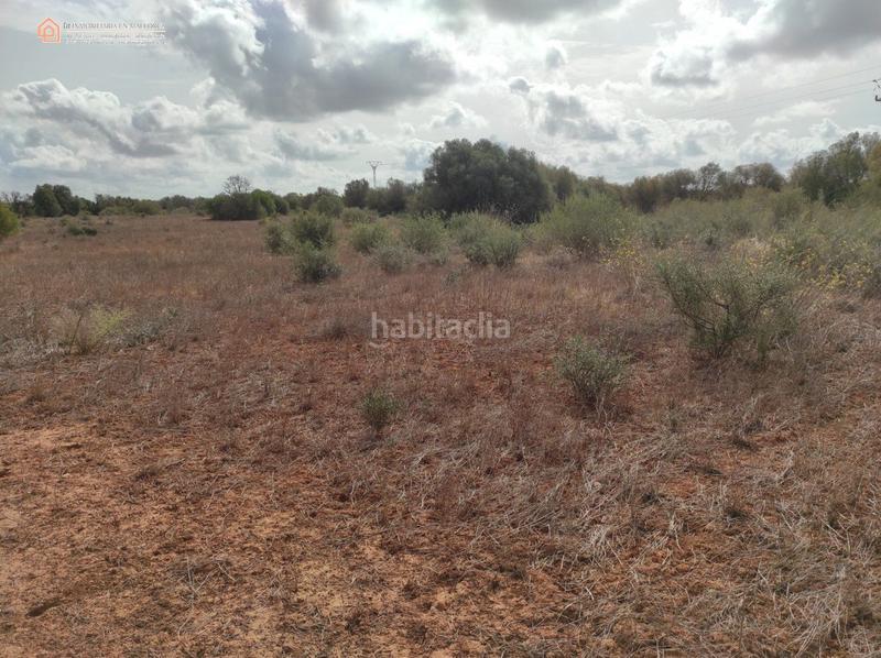 Foto 98c57b83-b9c2-4a51-a628-b1093fcc14a3. Terreny residencial a carretera rafal llinas a Ses Salines poble Ses Salines Foto 98c57b83-b9c2-4a51-a628-b1093fcc14a3. Terreny residencial a carretera rafal llinas a Ses Salines poble Ses Salines