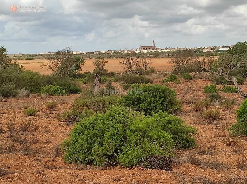 Foto c1bdaf1f-b7b0-48a5-9099-93c8f6bfb6cf. Terreny residencial a carretera rafal llinas a Ses Salines poble Ses Salines Foto c1bdaf1f-b7b0-48a5-9099-93c8f6bfb6cf. Terreny residencial a carretera rafal llinas a Ses Salines poble Ses Salines