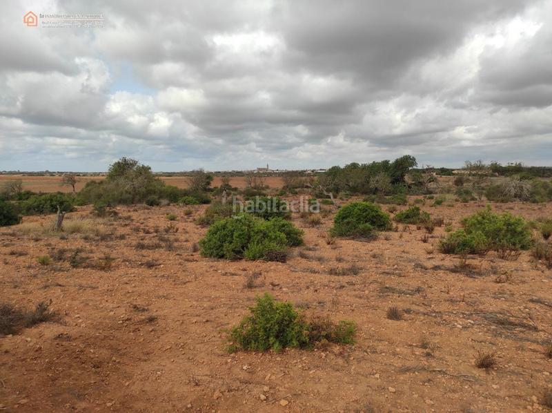 Foto c8ab5080-1e6f-40ee-9389-649c9aa1a0ce. Terreny residencial a carretera rafal llinas a Ses Salines poble Ses Salines Foto c8ab5080-1e6f-40ee-9389-649c9aa1a0ce. Terreny residencial a carretera rafal llinas a Ses Salines poble Ses Salines