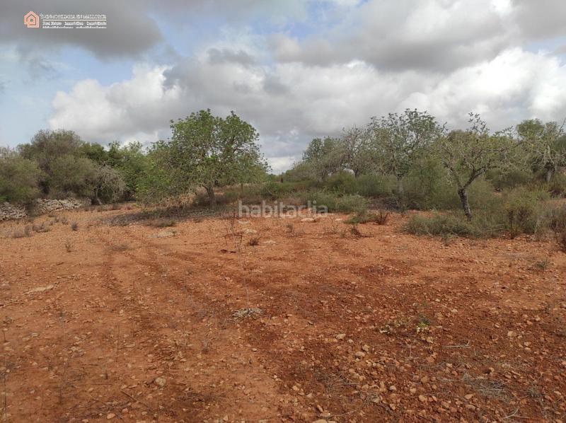 Foto cc88c5be-26e4-4cd1-a766-c042f0f72c69. Terreny residencial a carretera rafal llinas a Ses Salines poble Ses Salines Foto cc88c5be-26e4-4cd1-a766-c042f0f72c69. Terreny residencial a carretera rafal llinas a Ses Salines poble Ses Salines