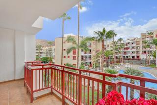 Affitto Piccolo appartamento Avenida palm-mar. Se alquila por temporada piso de 1 dormitorio en palm mar Affitto Piccolo appartamento Avenida palm-mar. Se alquila por temporada piso de 1 dormitorio en palm mar