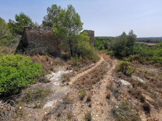 Lloguer Finca rústica Camí mas de miro (de). Finca rustica con casa declarada Lloguer Finca rústica Camí mas de miro (de). Finca rustica con casa declarada