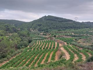 Propriété à Carretera albinyana 7. Finca rústica en albiñana Propriété à Carretera albinyana 7. Finca rústica en albiñana