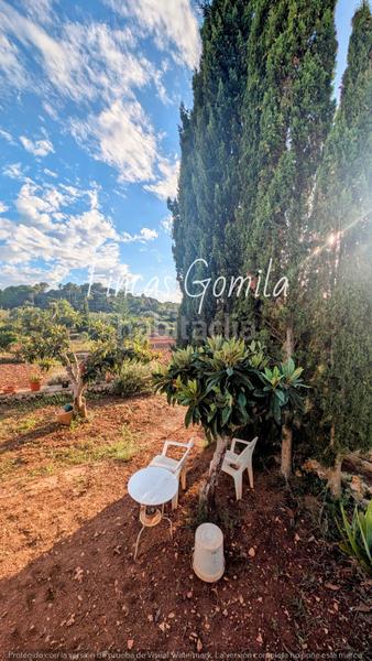 Foto 4235f787-4ad0-4372-8fd1-b93fb9c1cdb5. Finca rústica a Alaior poble Alaior Foto 4235f787-4ad0-4372-8fd1-b93fb9c1cdb5. Finca rústica a Alaior poble Alaior