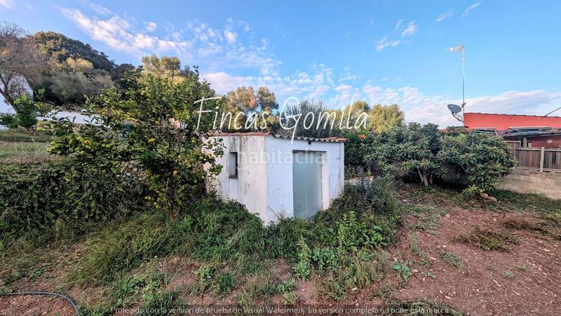 Foto efc89d55-644a-457d-9e39-621b4a09970a. Finca rústica a Alaior poble Alaior Foto efc89d55-644a-457d-9e39-621b4a09970a. Finca rústica a Alaior poble Alaior