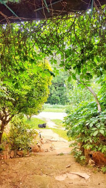 Foto 8b004a16-a373-49c1-9757-6a341841f4ac. Chalet in Llinars del Vallès Foto 8b004a16-a373-49c1-9757-6a341841f4ac. Chalet in Llinars del Vallès