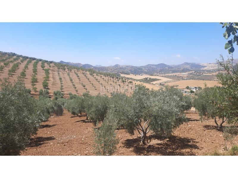 Foto 8c6b1124-1b22-4c28-9c77-1df0bd4e8a97. Masía vendo parcela con casa aperos y altillo , en arroyo coche en Casabermeja Foto 8c6b1124-1b22-4c28-9c77-1df0bd4e8a97. Masía vendo parcela con casa aperos y altillo , en arroyo coche en Casabermeja